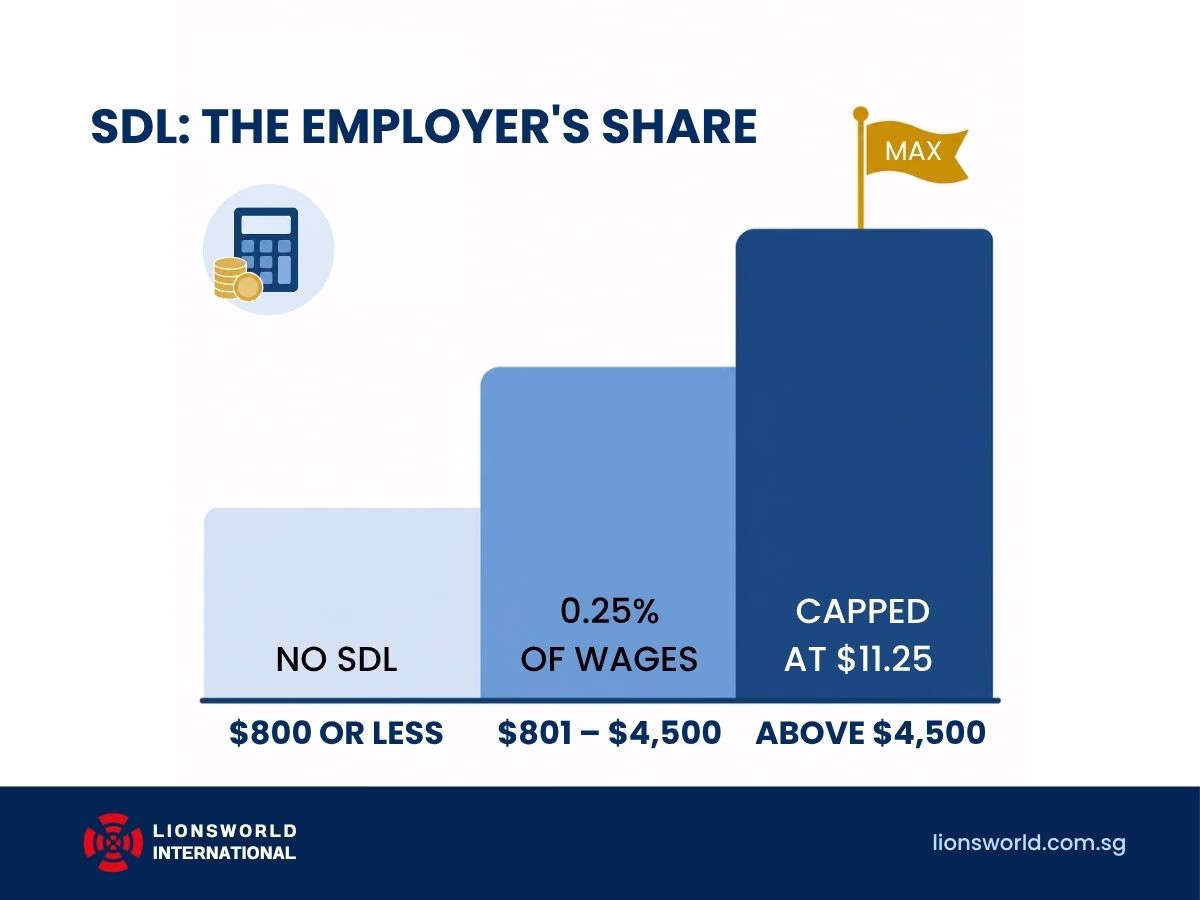 SDL: the employer's share